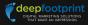 Deep Footprint logo